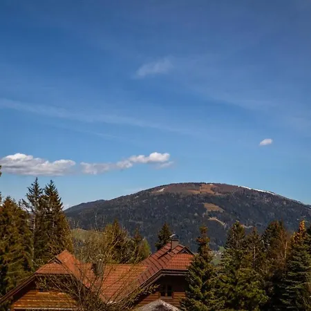 Holiday home Almhaus Frierss *