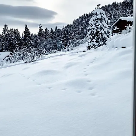 別荘 Almhaus Frierss *