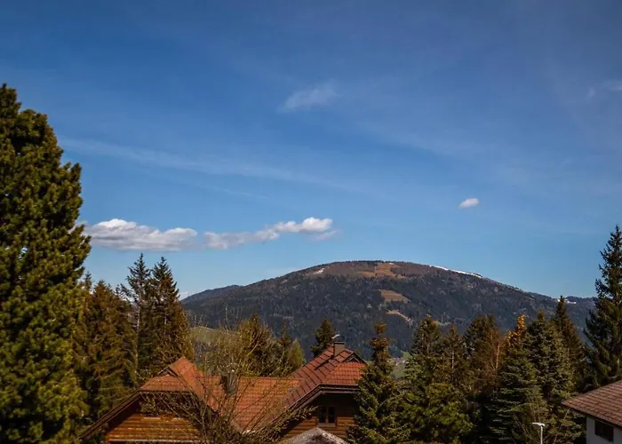 Holiday home Almhaus Frierss *