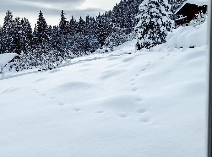 Dom wakacyjny Almhaus Frierss *